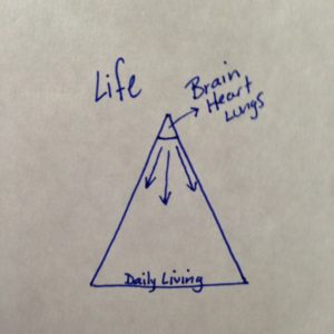 Life pyramid 1